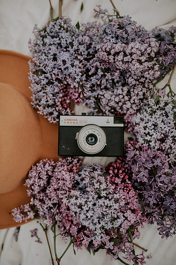 Flowers, Lilac, Miscellanea, Miscellaneous, Retro, Camera, Hat HD phone wallpaper