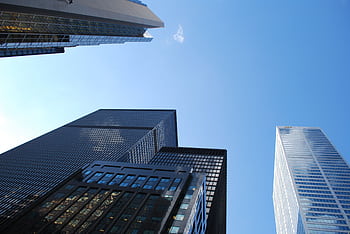 Low angle view of modern skyscrapers with a clear blue sky background. HD wallpaper