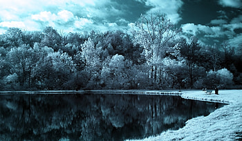 Nature, Trees, Clouds, Lake, Gloomy, Black And White HD wallpaper