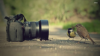 28 Great LinkedIn Profile | TrÃ© RodrÃ­guez-Terry | Pulse | LinkedIn HD wallpaper