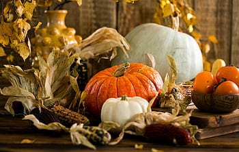Still life of pumpkins and gourds with autumn leaves, capturing the essence of fall. HD wallpaper