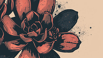 Succulent Charm: Artistic, plant, succulent, flower, illustration HD wallpaper