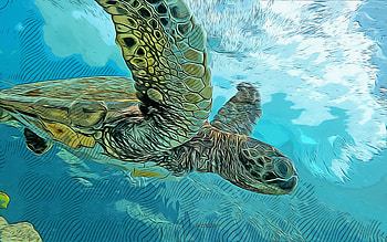 turtle, , vector art, turtle drawing, creative art, turtle art, vector drawing, abstract animals, underwater world HD wallpaper