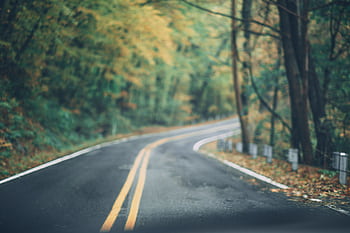 A scenic winding road through a vibrant autumn forest in Long Pond, PA. HD wallpaper
