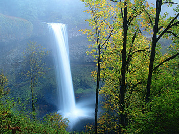 Nature, Trees, Summer, Shine, Light, Waterfall HD wallpaper