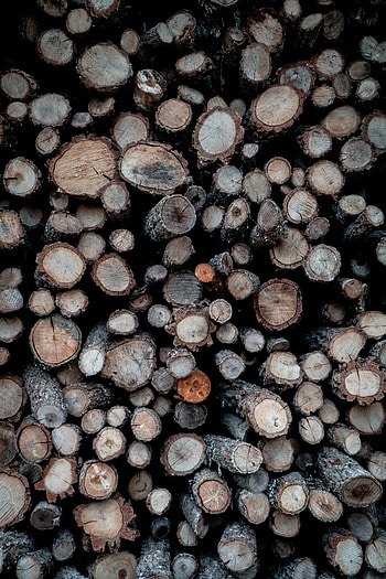 Miscellanea, Miscellaneous, Wood, Wooden, Tree, Firewood, Logs HD phone wallpaper