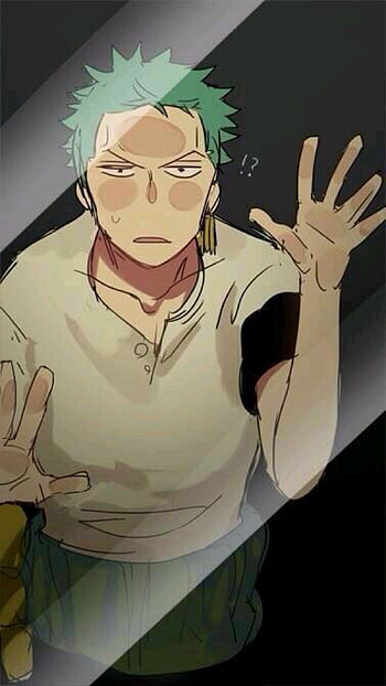 One Piece lock screen. Trapped Zolo / Zoro screen HD phone wallpaper