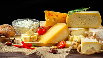 Cheese appreciation, Visual delight, Palate pleaser, Tasty temptation HD wallpaper