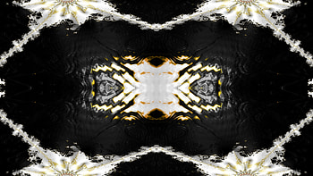 Trippy Psychedelic Fractal, trippy, psychedelic, aesthetic, black, white, Abstract, fractal, abstract black HD wallpaper