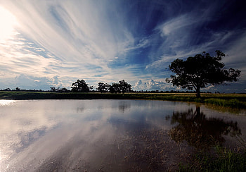 Twilight Pond, twilight, reflection, trees, nature, water, lake, evening, pond HD wallpaper