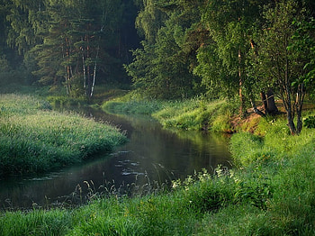 a place of dreams, river, green, trees, meadow, nature, spring, forest HD wallpaper