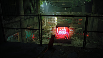stray 8, video game, Stray HD wallpaper