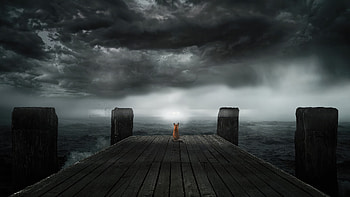Fox Pier Side, fox, alone, dark, pier, artist, artwork, digital-art HD wallpaper