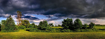Nature, Trees, Clouds, Summer, Panorama HD wallpaper