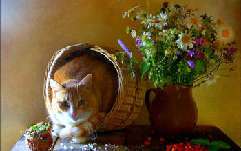 Still life, basket, cat, flowers HD wallpaper