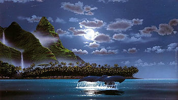 Island Palms Ocean Night Whale HD wallpaper