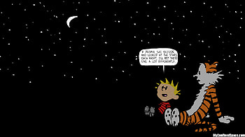 ... calvin and hobbes afari ... HD wallpaper
