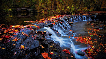 Sharon Woods Park, Sharonville, Ohio, leaves, usa, river, autumn, colors, trees HD wallpaper