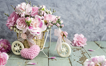 :), white, valentine, rose, pink, pretty, flower, bike, card, lovely, heart HD wallpaper