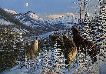 Hunters neath the moon, fir trees, howling, moon, snow, wolf pack, hunting, mountains, wild HD wallpaper