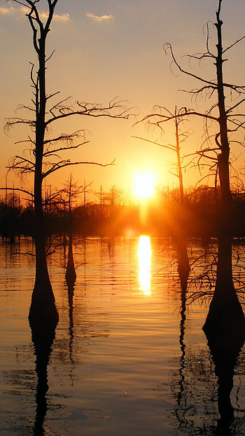 Black Bayou, Monroe, United States of America HD phone wallpaper