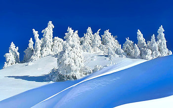 Winter Opus Nature Full Heavenly HD wallpaper
