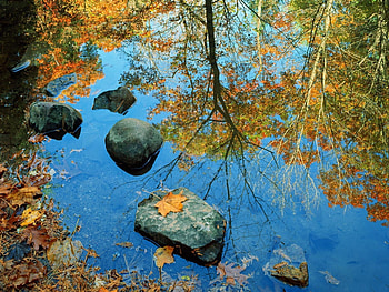 Landscape, Rivers, Leaves HD wallpaper