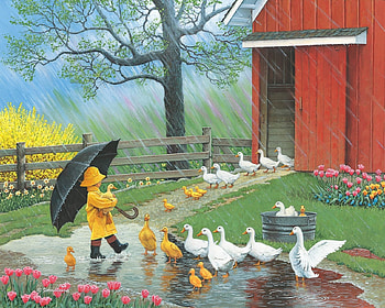 spring rain, goose, country, spring, rain HD wallpaper