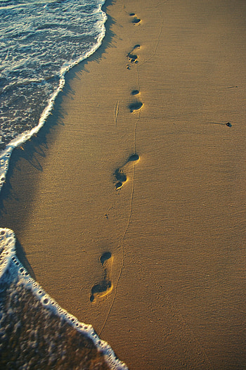 Shoreline, Footprints in the Sand HD phone wallpaper