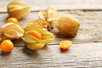Physalis, Culinary uses, Preparation tips, Gourmet recipes HD wallpaper