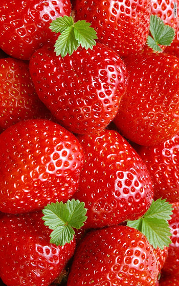Strawberries, , Backgrounds, Food HD phone wallpaper