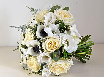 Flowers, Roses, Registration, Typography, Bouquet, Snow White HD wallpaper