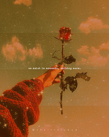 Aesthetic quote 1, , love, romance, vibe, deep, line, cute, life, digitalart, moment, red, beautiful, samsung, meaning, golden, saying, sweater, hand, art, pretty, nature, words, pleasing, orange, warm, background, rose HD phone wallpaper