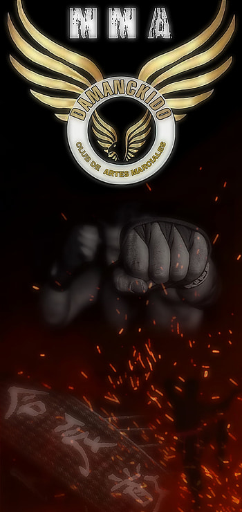 DAMANCKIDO, mma, Epic, karate, boxing, figther, kickboxing, taekwondo HD phone wallpaper