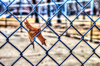 Nature, Autumn, Grid, Sheet, Leaf, Fence, r HD wallpaper