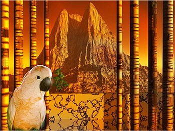 Digital Art, digital, abstract, bird, art HD wallpaper