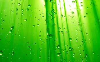 Background, Drops HD wallpaper