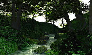 river, trees, forest, green HD wallpaper
