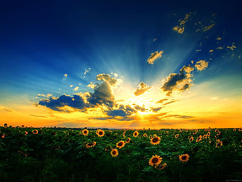 Beauty of Nature, cool HD wallpaper