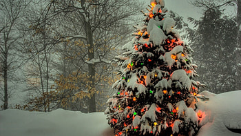 Holidays, Toys, Snow, Shine, Light, Christmas Tree HD wallpaper