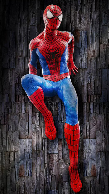 Spiderman, red, blue, super hero, hero HD phone wallpaper