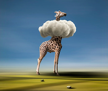 Funny giraffe, blue, animal, white, situation, giraffe, creative, fantasy, green, funny, sky, cloud HD wallpaper