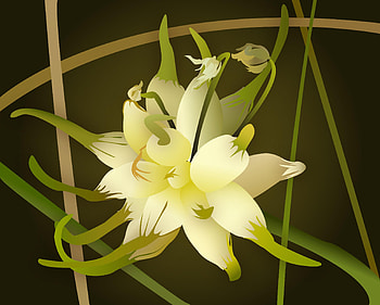 Yellow flower, abstract, flower HD wallpaper