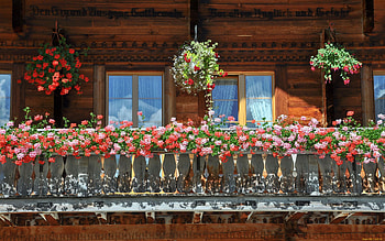 Balcony, wooden, windows, house, flowers HD wallpaper