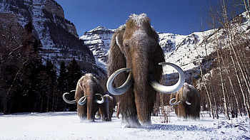 Mammoth , Posted by Michelle Thompson, Mammoth , Michelle Thompson's HD wallpaper
