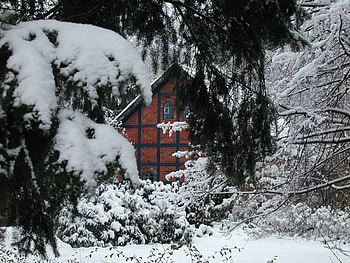 Nature, Snow, Branches, Branch, House, Spruce, Fir, Bricks HD wallpaper