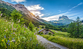 Mountain houses, houses, mountain, village, countryside, path, meadow, peaceful, grass, beautiful, wildflowers, cottages, sky HD wallpaper