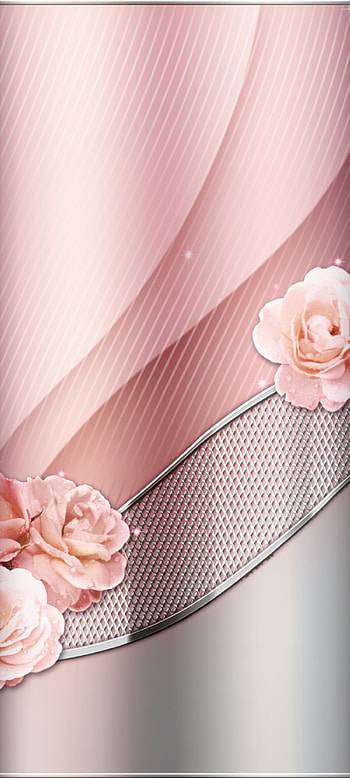 Pink Rose, magenta, flowers HD phone wallpaper