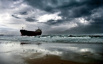 Nature, Sea, Seagulls, Sand, Shore, Bank HD wallpaper