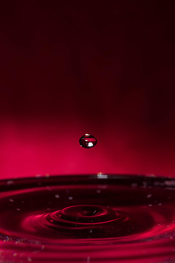 Water, Macro, Liquid, Drop HD phone wallpaper